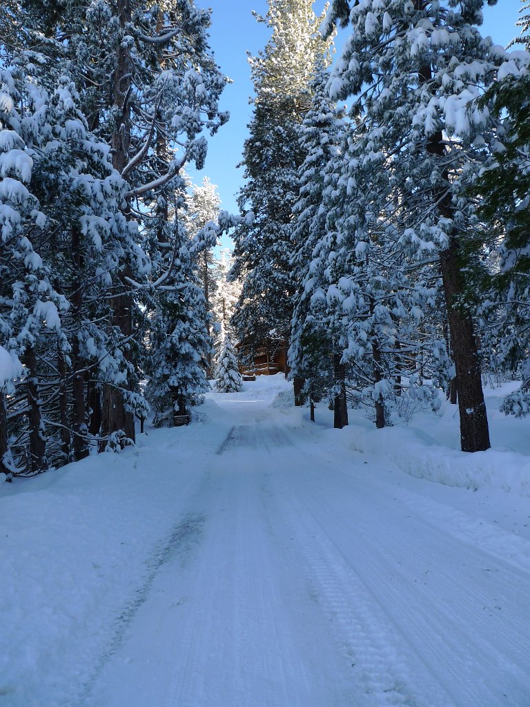Christmas2010 175.JPG